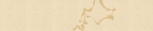 top_bg001